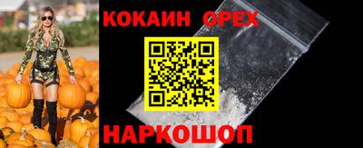 наркотики Гатчина