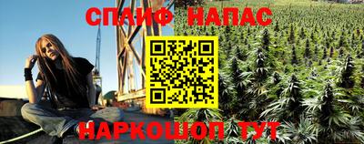 наркотики Гатчина